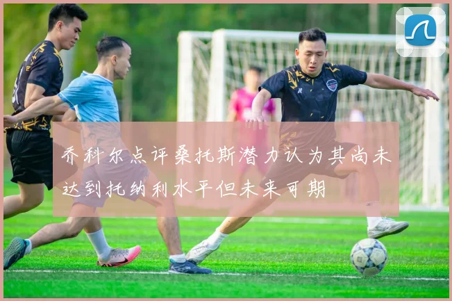 乔科尔点评桑托斯潜力认为其尚未达到托纳利水平但未来可期
